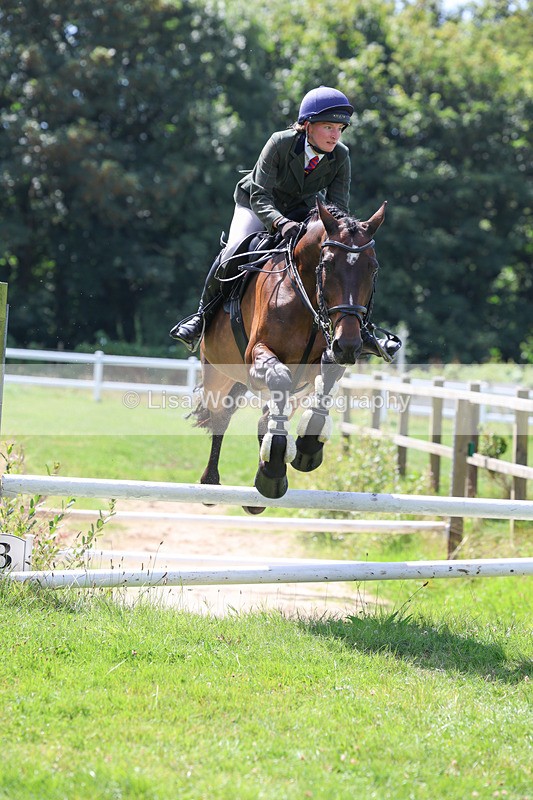 3E7A8923 - Class 6: Open Working Horse