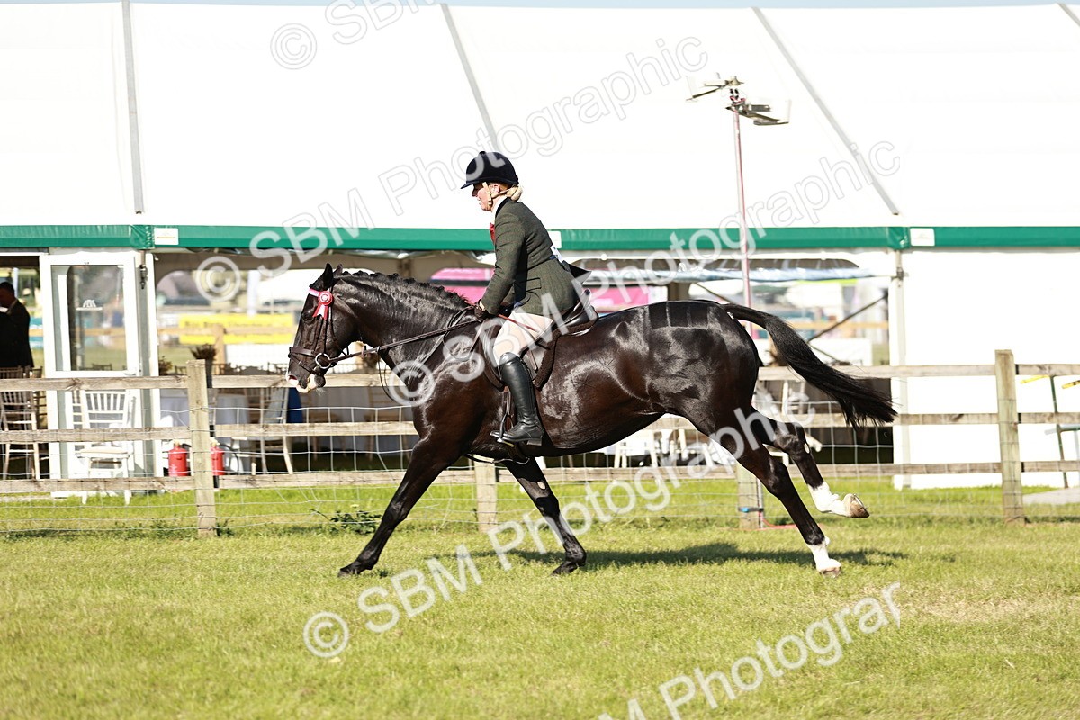 SBM_19256 - Class 115-116 - LIHS BSHA Rising Star Working Hunter & Show Horse