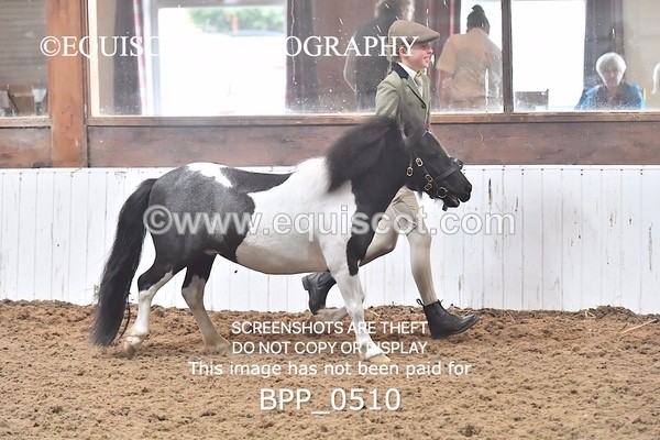 BPP_0510 - RING 1