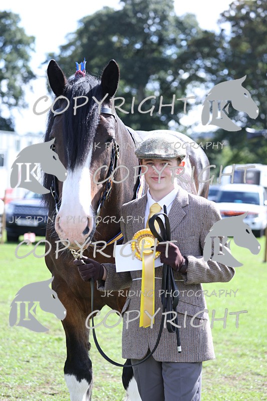 APP_3468 - Class 6 Young Handlers