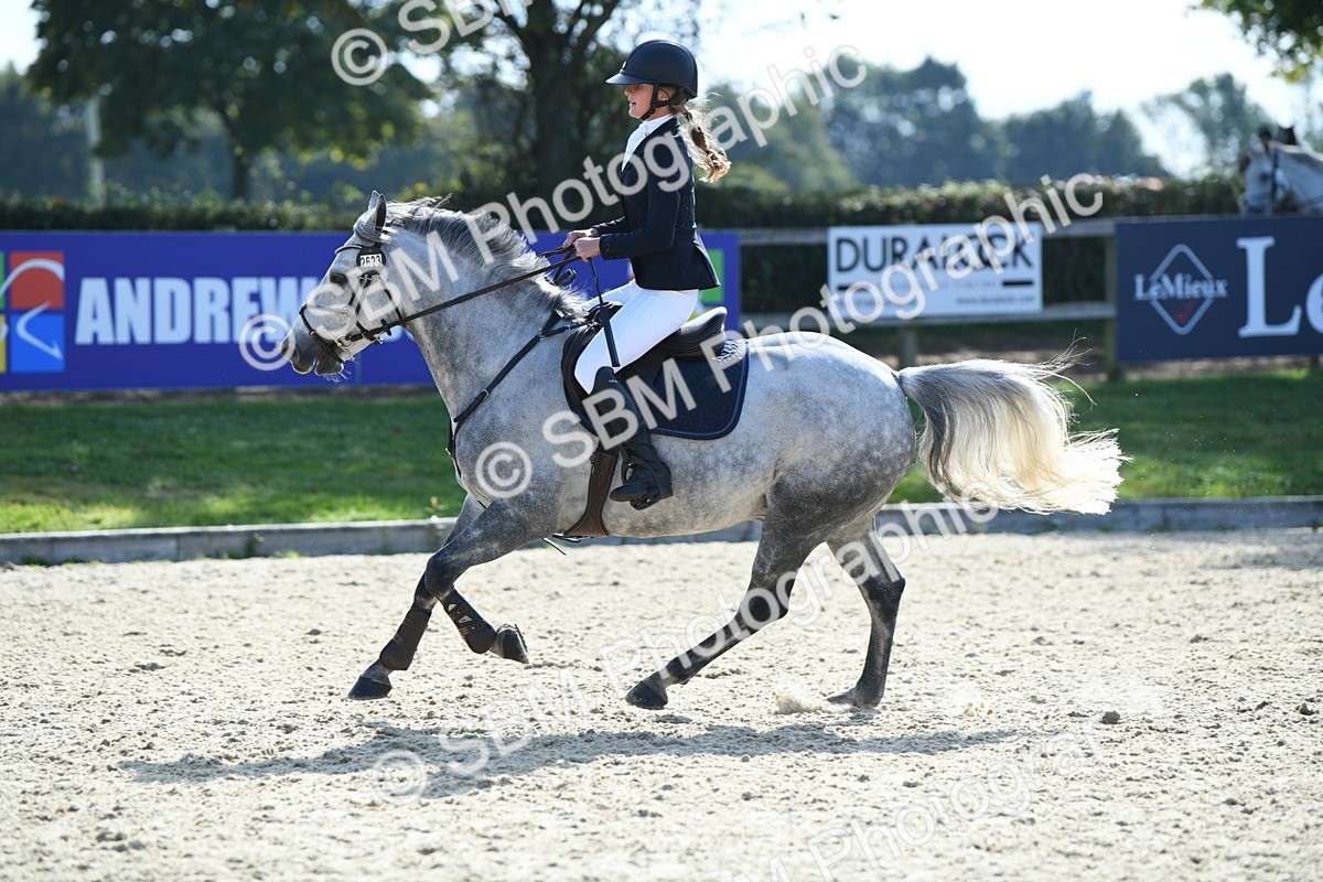 SBM_61668 - j25 - Junior Horse 80cm Championship