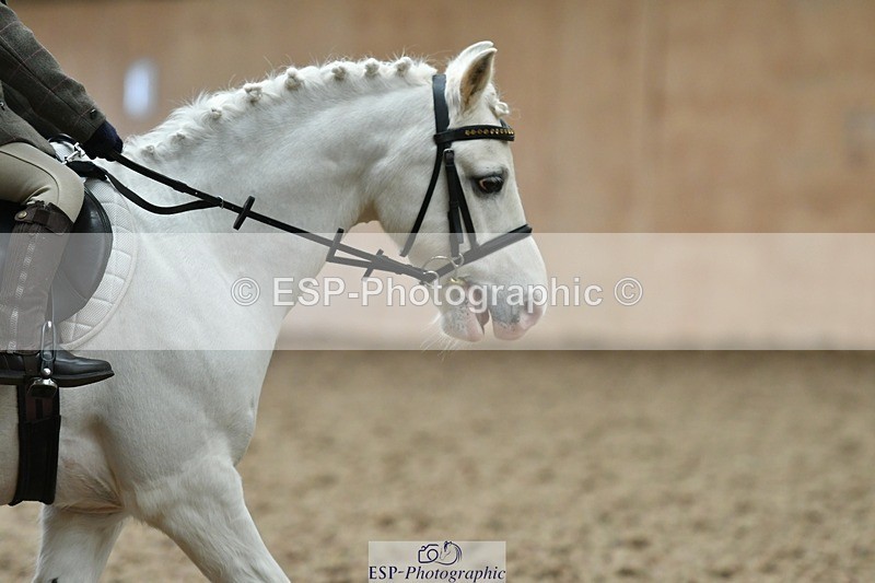 230404-103352-00088 - Cls 1 Walk Trot PC Test