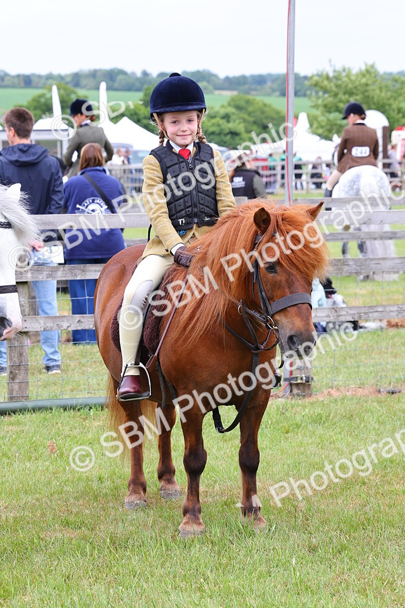 SBM_08791 - Class 42-43 - LIHS BSPS Heritage Working Sports Pony