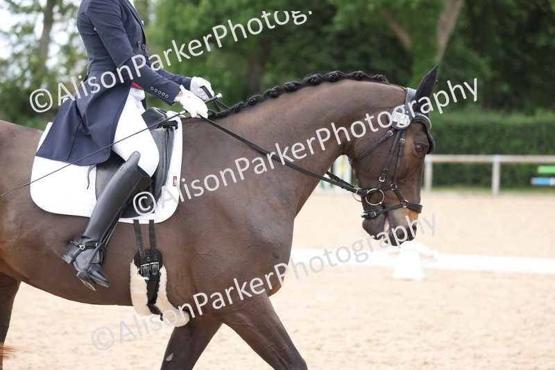 20250604-1496 - Class 12 - FEI PSG