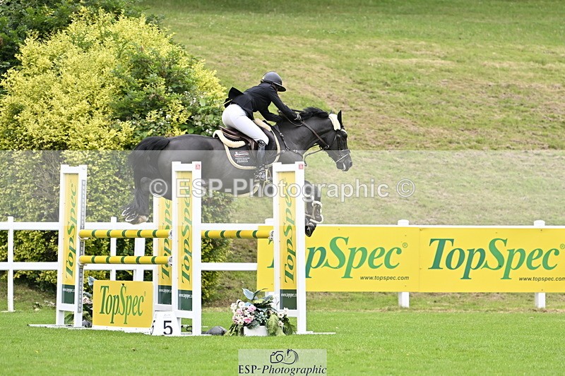 250613A-124526-01893 - Cls 3 Snr Foxhunter