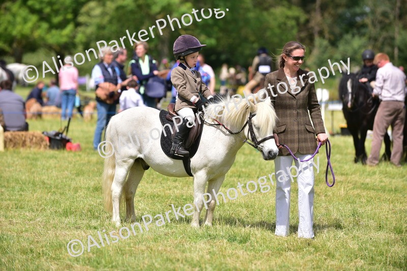 20260614-1256 - Class 11a - Lead Rein Pony (Unplaited)