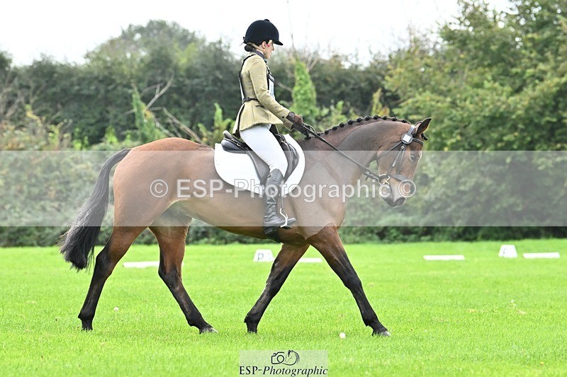 241024-102557-02180 - 305-Charlotte.Walters-HOLNEST.FEARGHAL