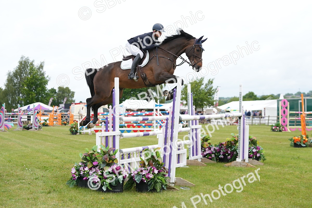 SBM_03058 - Class 201 - British Horse Feeds Speedi Beet Horse of the Year Show Grade  C