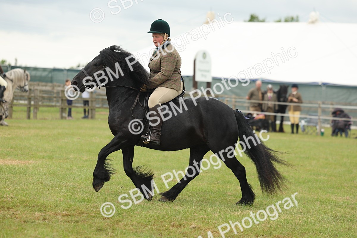 SBM_08960 - Class 78-80 - Ridden M&M Non Welsh Ponies