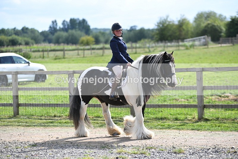 WJ5_7932 - Time 16:56 to 17:14