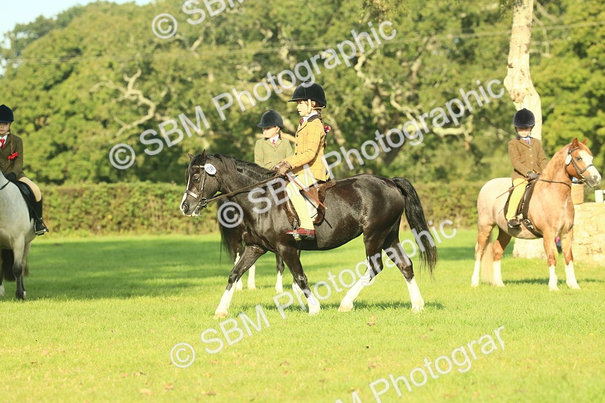 SBM_59185 - S38 - Starters Ridden Showing