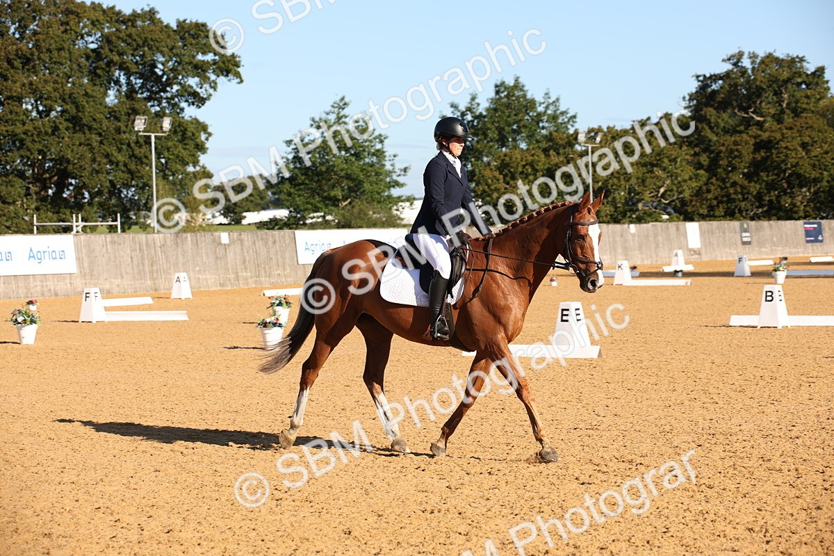 SBM_01826 - D2 Small Tour Championship Intro C