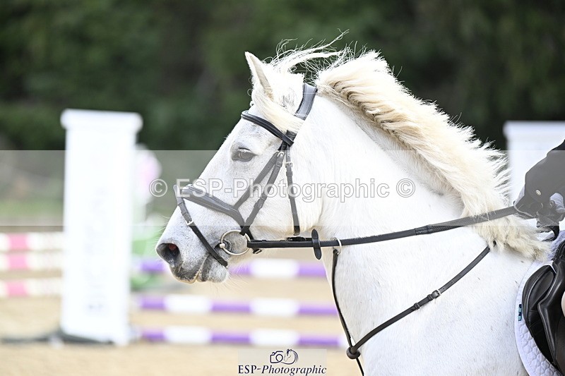 251005A-103750-03395 - Cls 04 GR 70cm