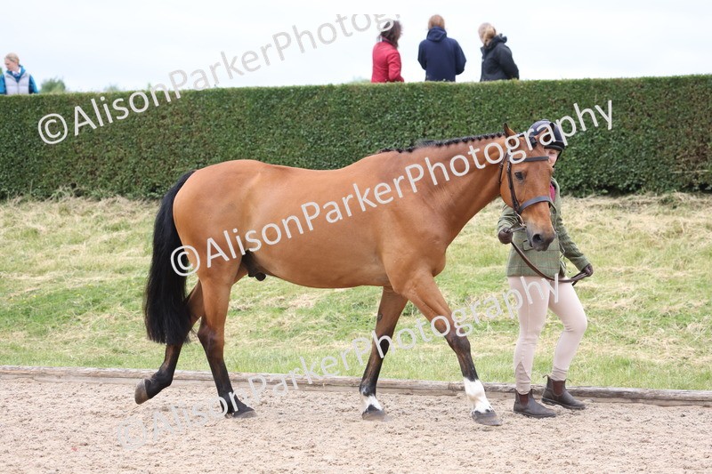 20250524-0608 - Class 7 - Veteran