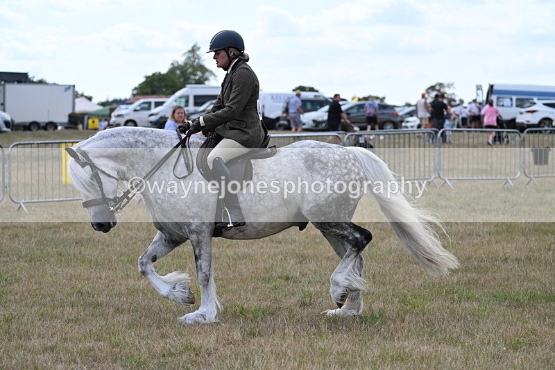 WJ7_5282 - Class 12 Ridden Cob