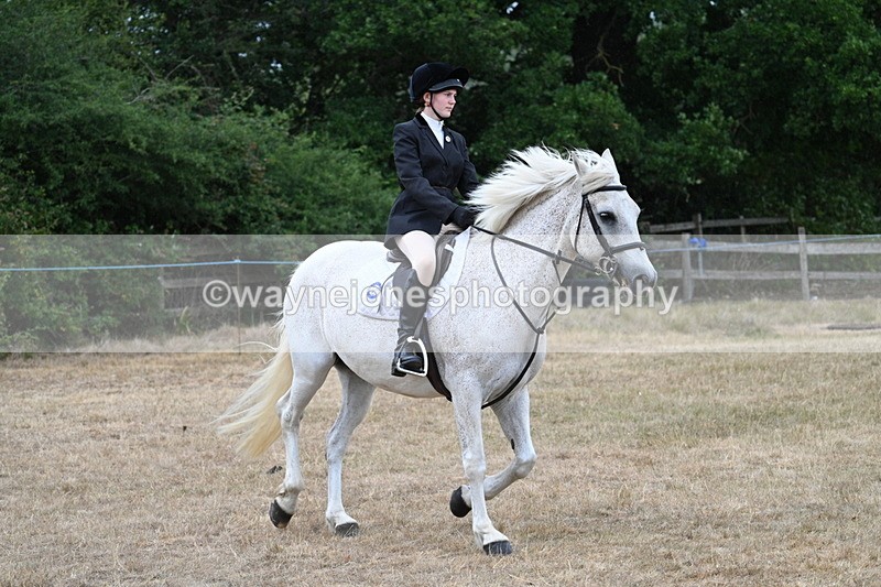 WJ7_0944 - Class 7 Riding Club Show Horse