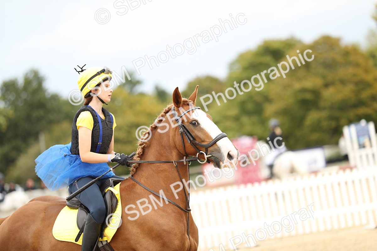 SBM_65597 - J48 - Pairs Jumping Open 70cm & 85cm