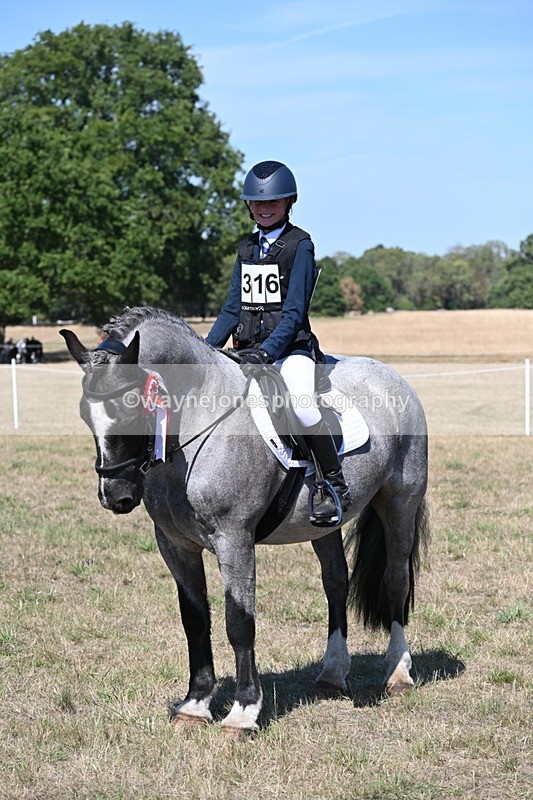 WJ6_8746 - Class 37b Best Loan Pony In-hand