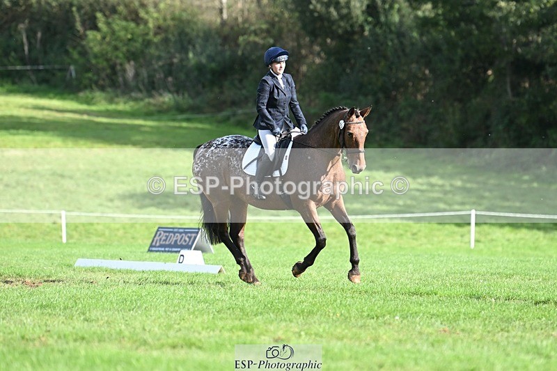231020-115917-07962 - 482-ODDSPOT.VITAL.ELEMENT-Danielle.Davies-DR