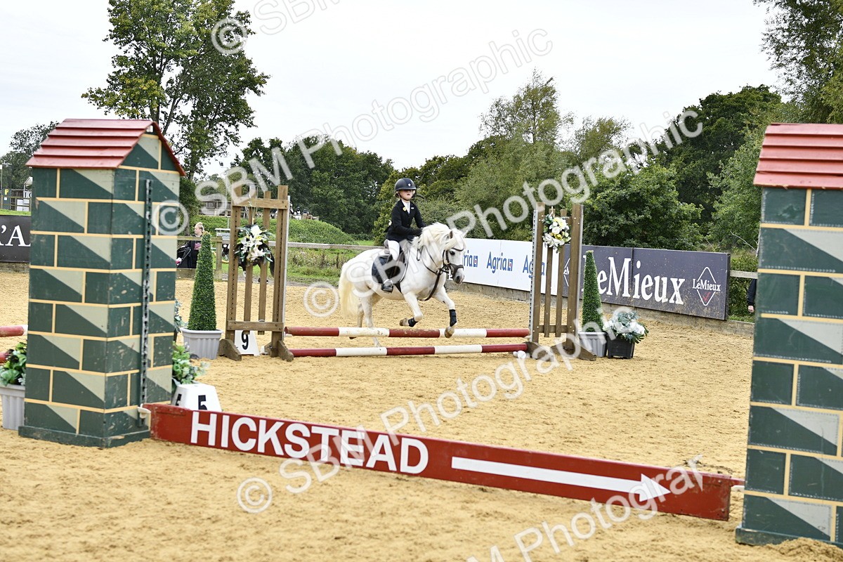 SBM_65410 - J2a mini Tour Junior Pony 30cm Championship