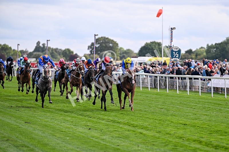 210826-Race 5-Plage De Havre-6727 - Race 5 16.10pm Assured Data Protection Handicap
