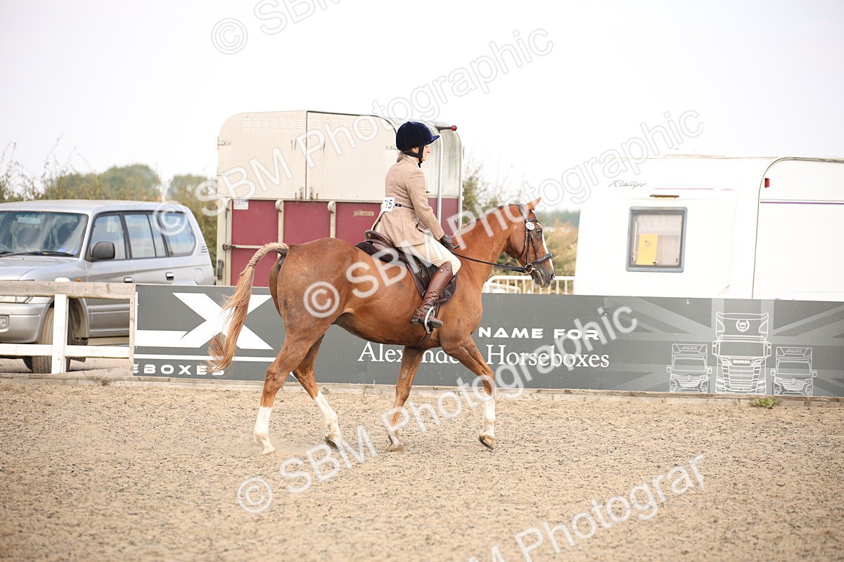 SBM_13587 - Class 406b - Working Veteran 50cm (20+)