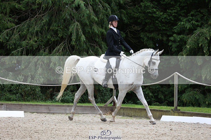 230812-151622-05097 - Cls 5 Novice Bronze 15.00 to End