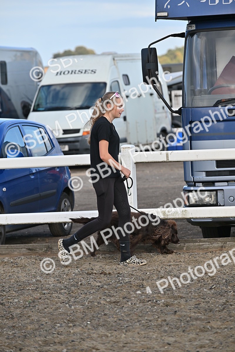 SBM_09516 - Lorry Dogs