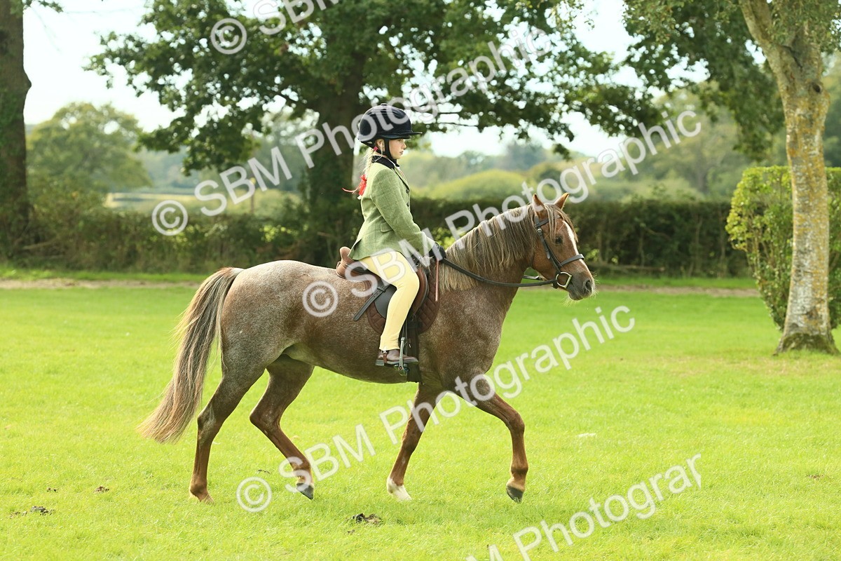 SBM_69801 - S59 - Mountain & Moorland Ridden Small Breeds