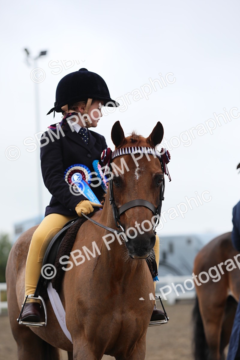 SBM_21890 - Class 806 - Young ridder 10 Yr & Under