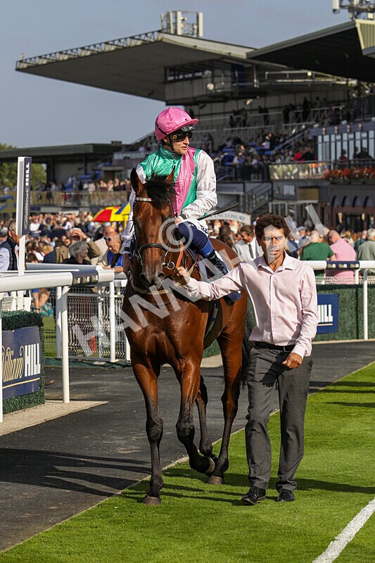 310824-Race 6-Amphius-1963 - Race 6