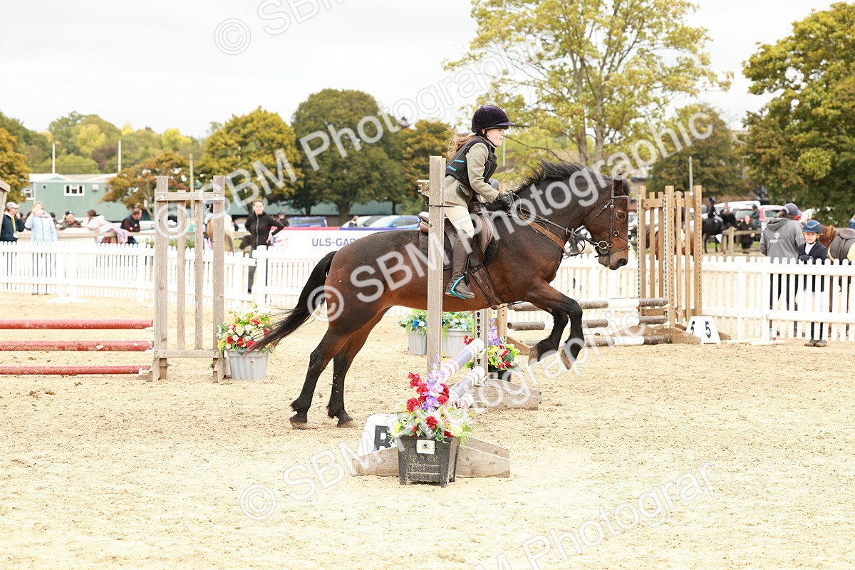 SBM_63639 - J12 - Junior Pony 55cm Championship