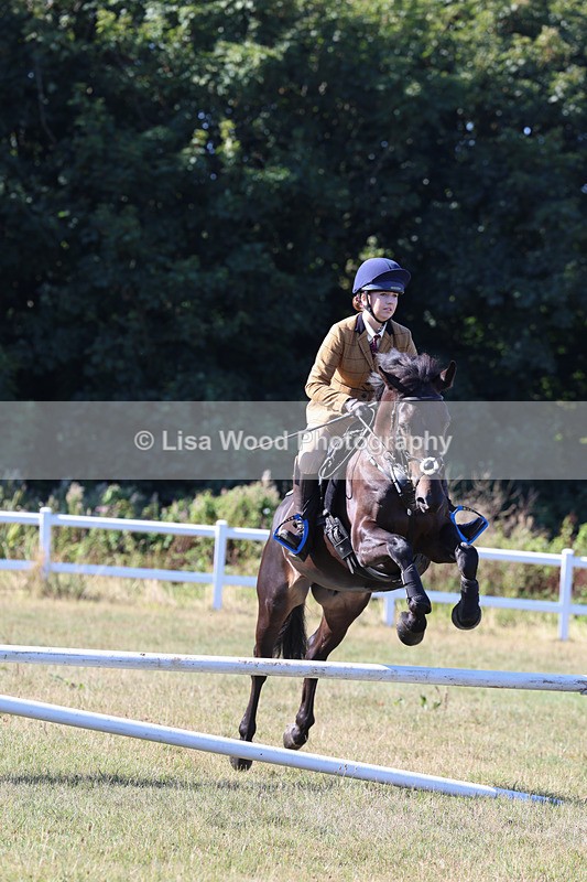 3E7A5475 - Class 3: Working Hunter 70cm