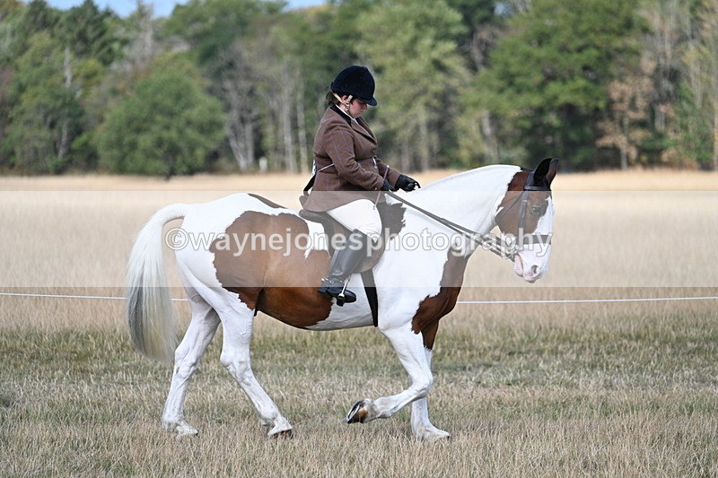 WJ7_6709 - Class 14 Ridden Coloured