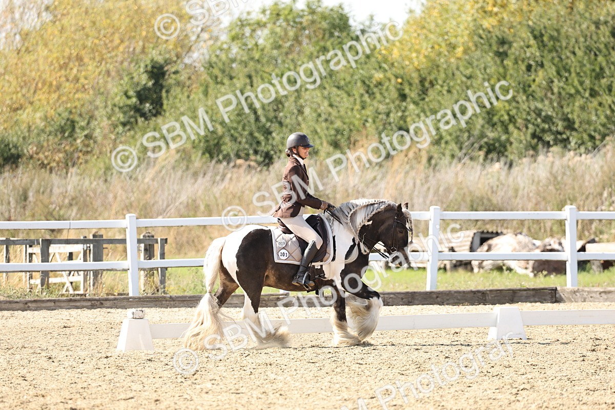 SBM_015284 - Class 9 - Advanced medium 3