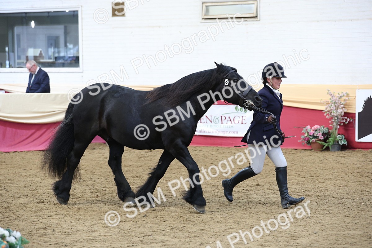 SBM_23633 - class 906 - Supreme Final - Ridden Pre Vet