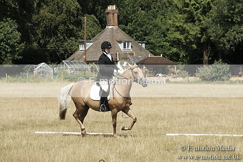 _PJP5812 - Dressage Classes BVRC Show 2018