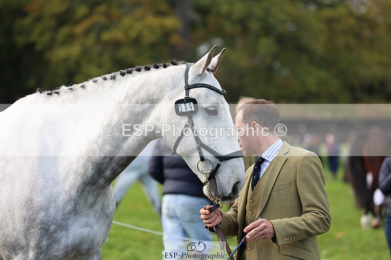 251026A-102114-22913 - E-389-Will.van.Ufford