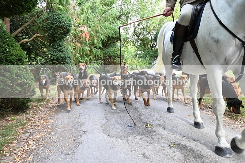 WJ6_3948 - Berks & Bucks - The Old farmhouse - Hound Exercise 20-08-25