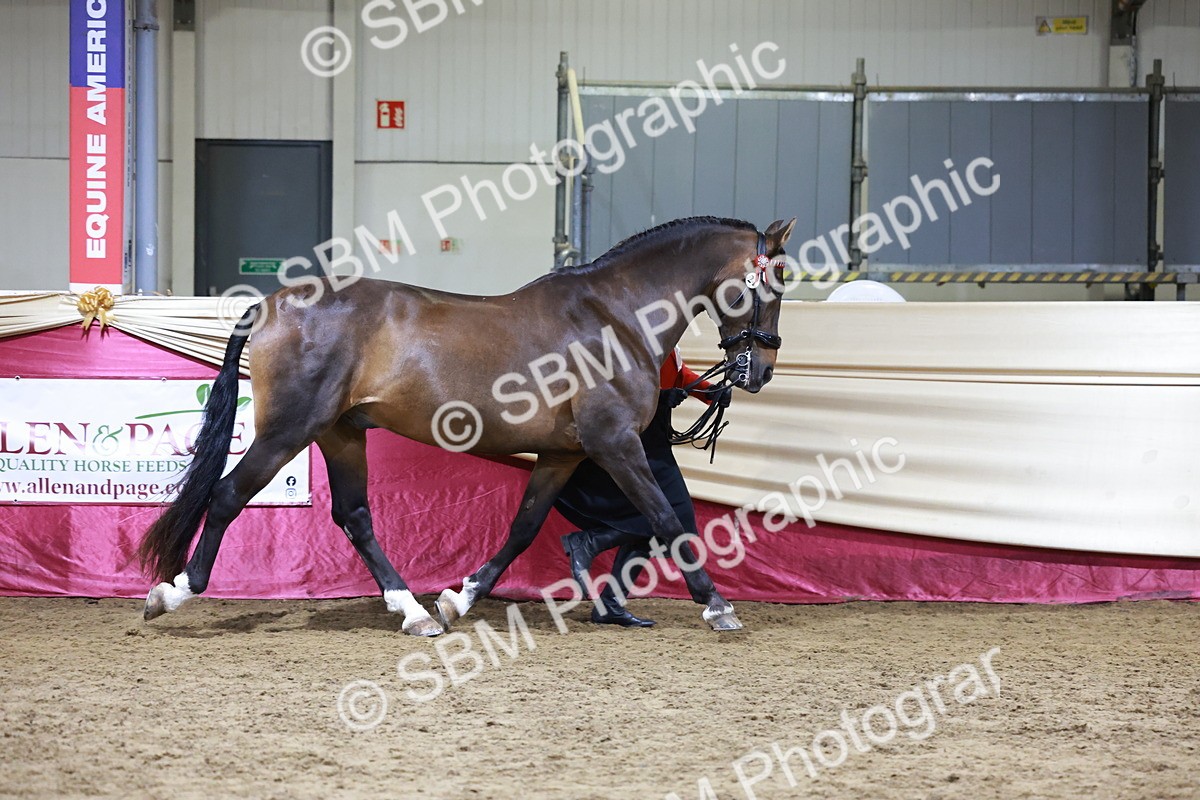 SBM_20677 - Class J - Foreign Breeds Champ