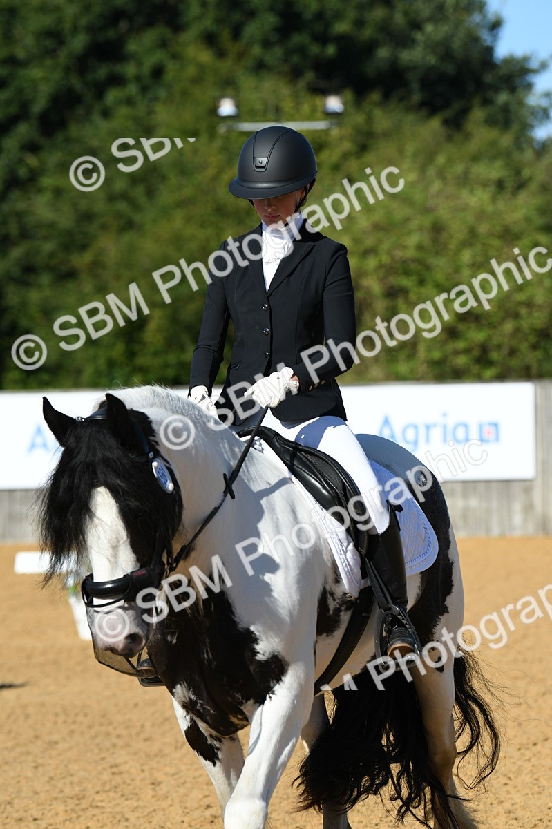 SBM_16267 - D4 - Small Tour Championship - Intro B