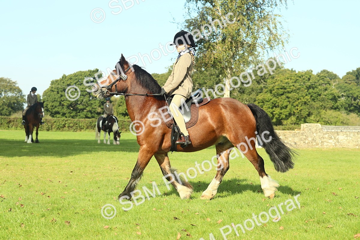 SBM_59920 - S38 - Starters Ridden Showing