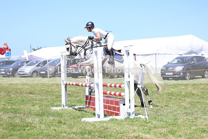 3E7A5593 - Class 9: Senior British Novice/90cm open