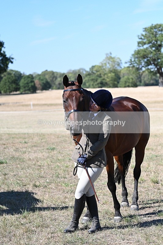 WJ7_1890 - Class 43 Best Six Legs (In hand)