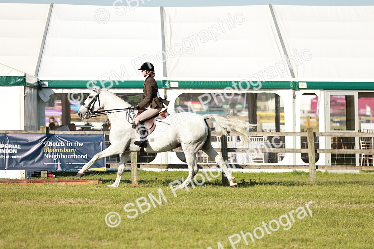 SBM_20010 - Class 115-116 - LIHS BSHA Rising Star Working Hunter & Show Horse
