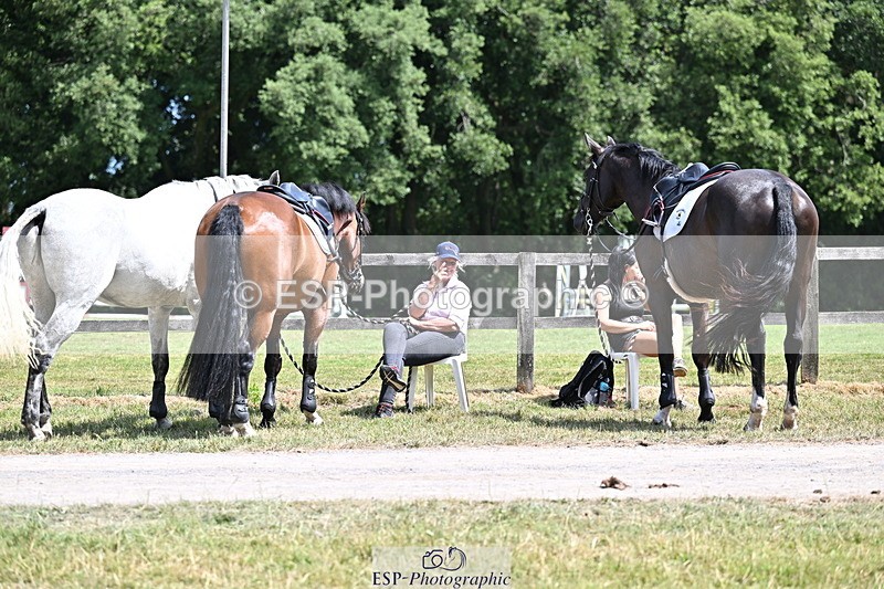 250704A-140415-11814 - Cls 23 Snr Foxhunter