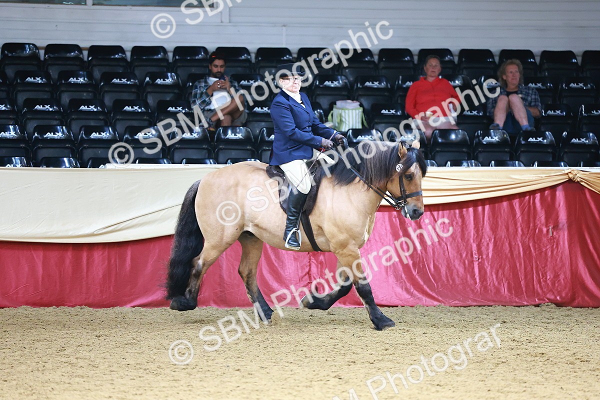 SBM_23780 - Class 905 - Supreme Final - Ridden Veteran