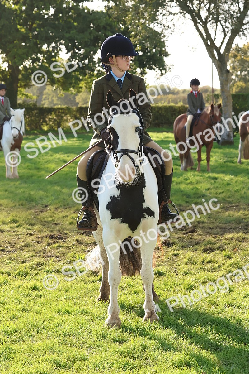 SBM_52647 - S13 - Pony Club Pony