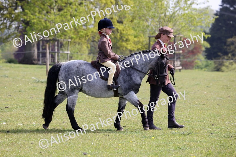 20260426-0606 - Class 31 - Leading Rein