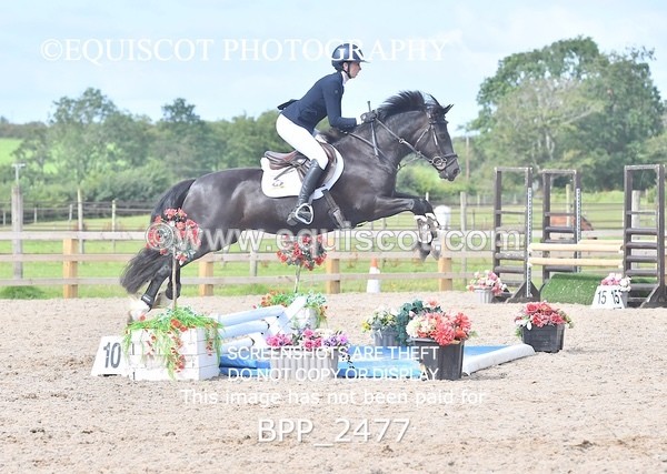 BPP_2477 - DERBY CLASS 7 - 80CM